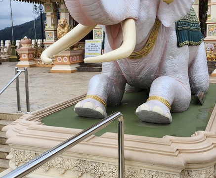 Sina's Tuk-Tuk or Van Driver & Guide Service-金边必去景点