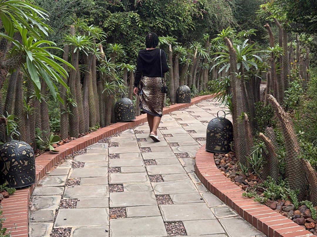 Sediko Bush Spa-Lephalale必去景点