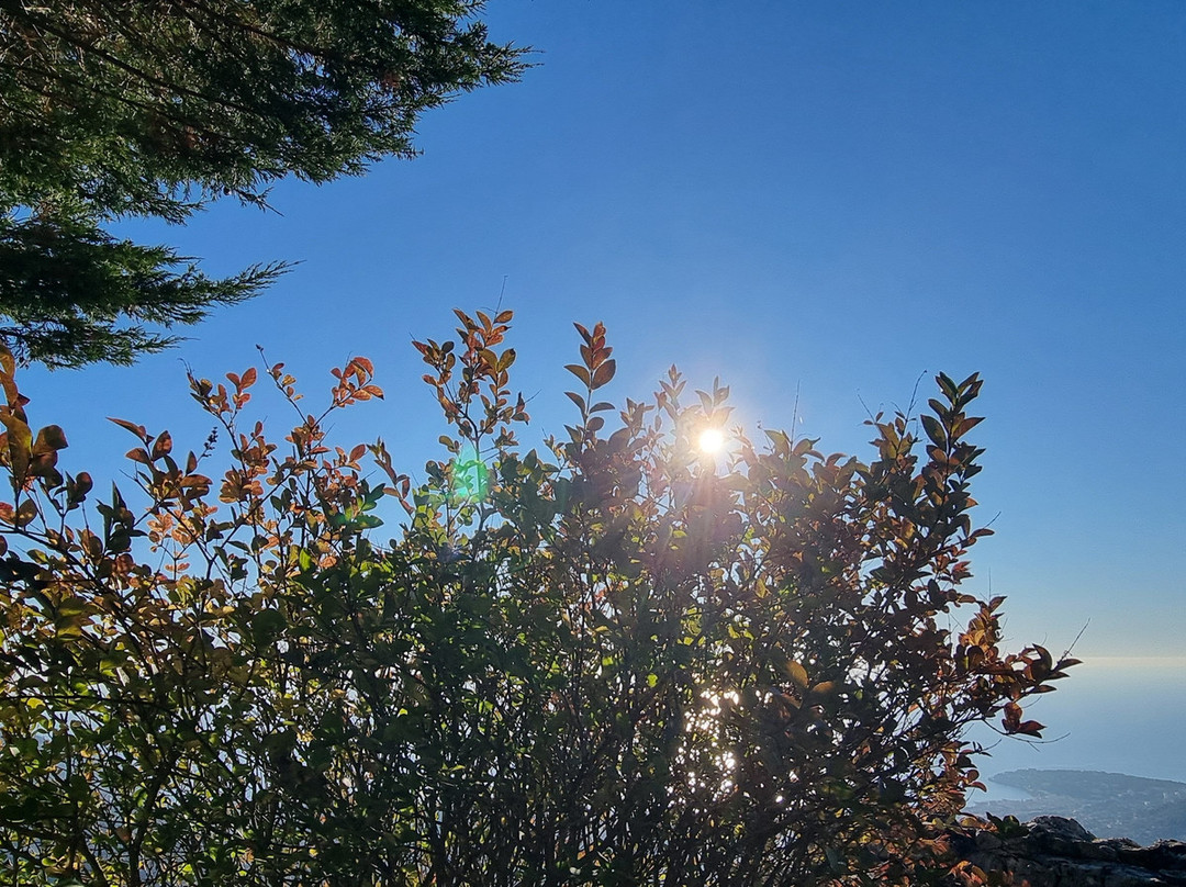 Chateau Et Jardin Medieval-Sainte-Agnes必去景点