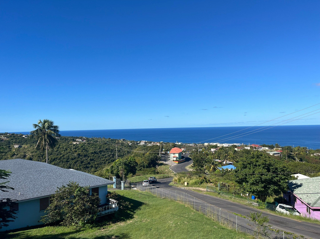 Tropical Mansion Suites主图