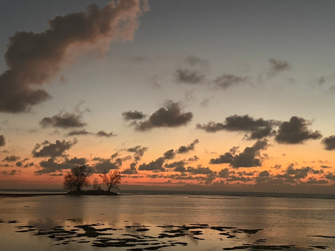 Anse La Reunion Beach-拉迪格岛必去景点