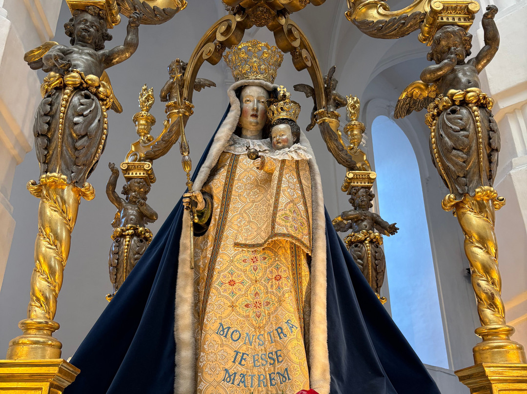 Onze-Lieve-Vrouw van Hanswijk-梅赫伦必去景点