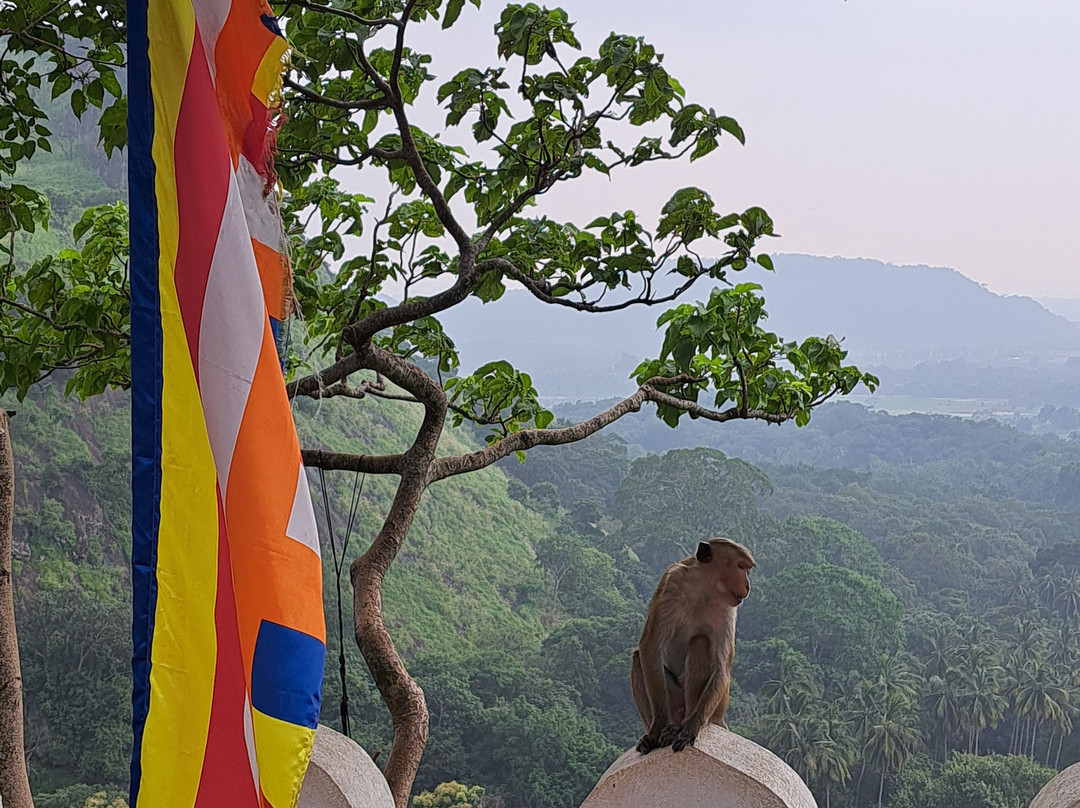 Chandis SriLankan Tours-康提必去景点