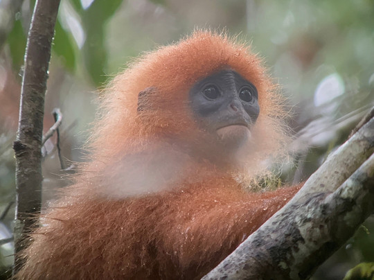 Unearth Adventure-拉布拉多必去景点