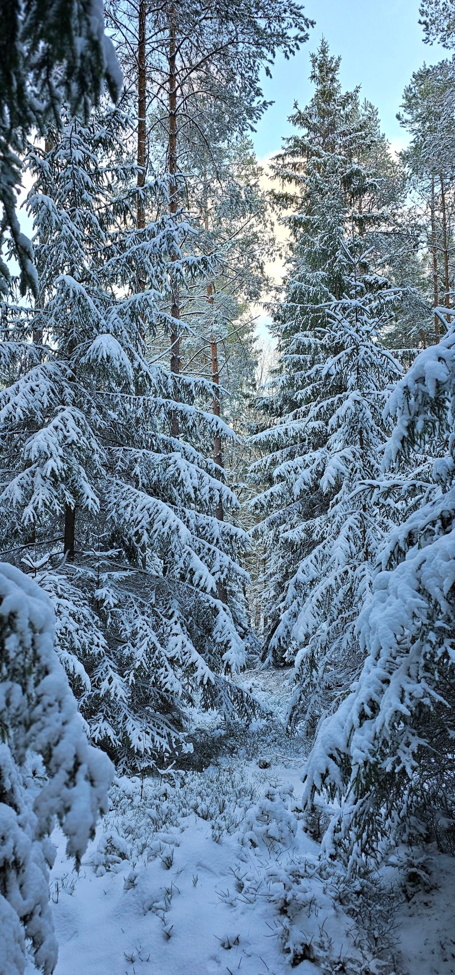 Pension Heindlhof-官方