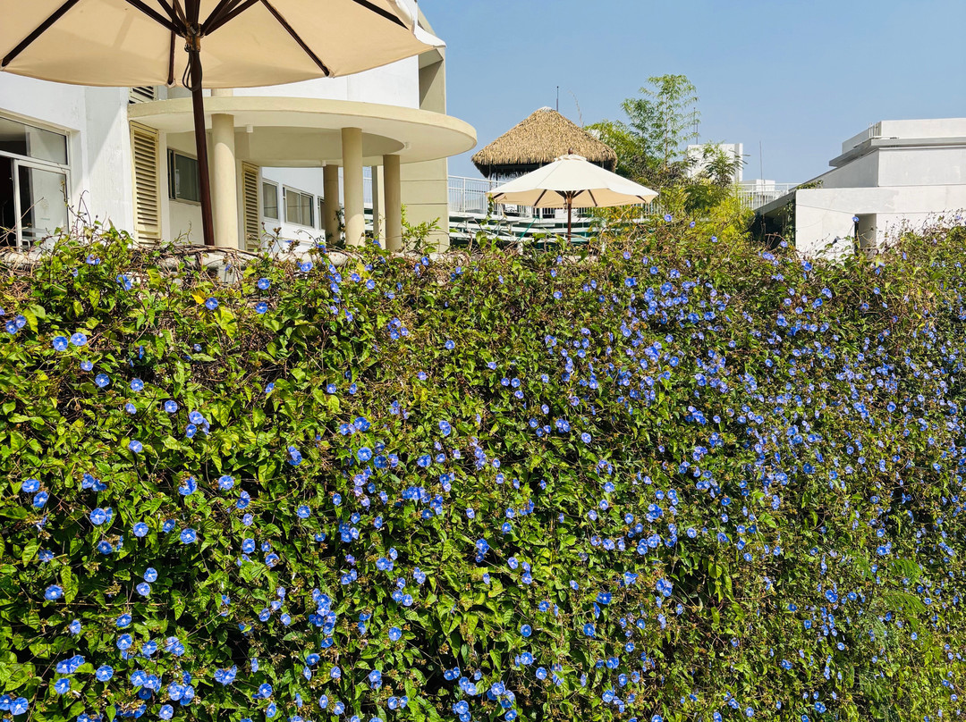 Kshemavana-Bangalore District必去景点