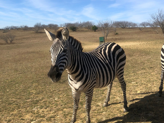 Blue Hills Ranch主图