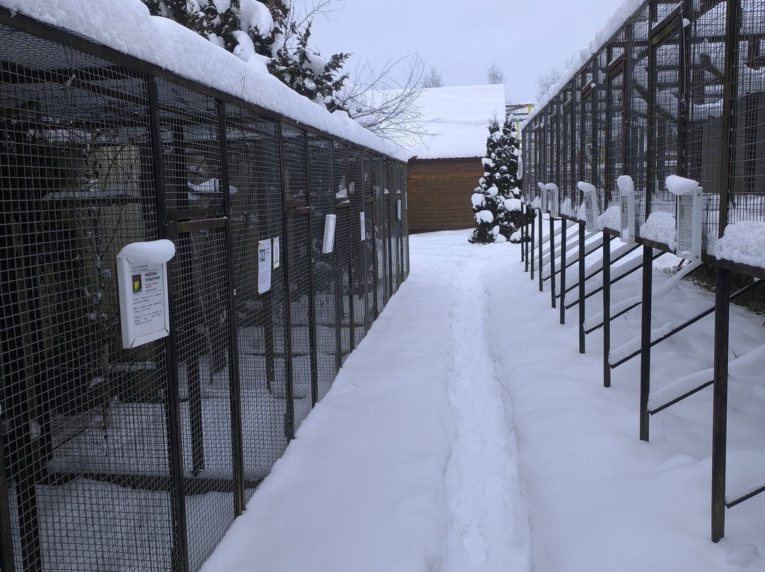 Bird Park Vorobyi-Vorobi必去景点