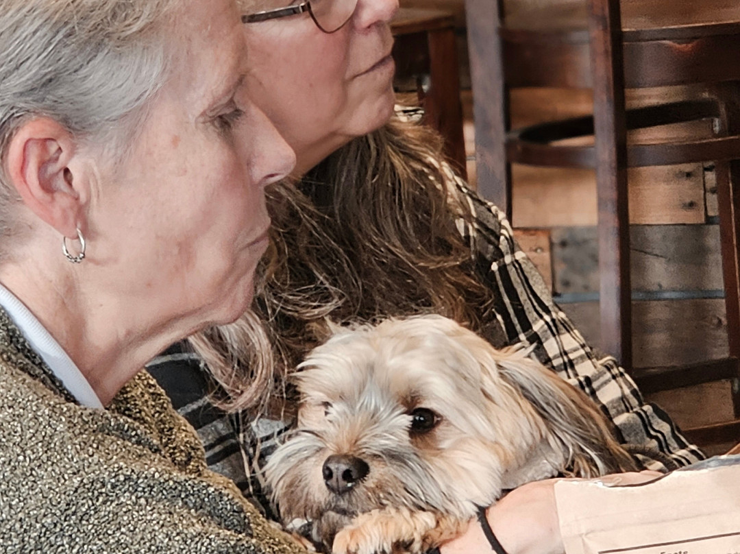 Postdoc Brewing Company-雷德蒙德必去景点