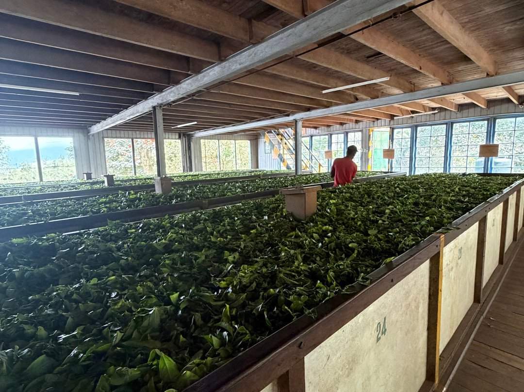 Dilshan Ella City Tours-Karandagolla必去景点