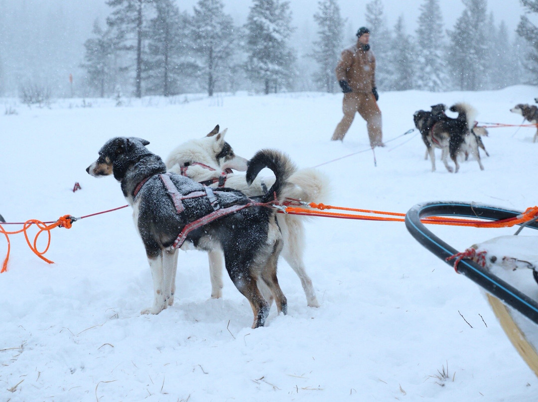 Fjallaventyr-Salen必去景点