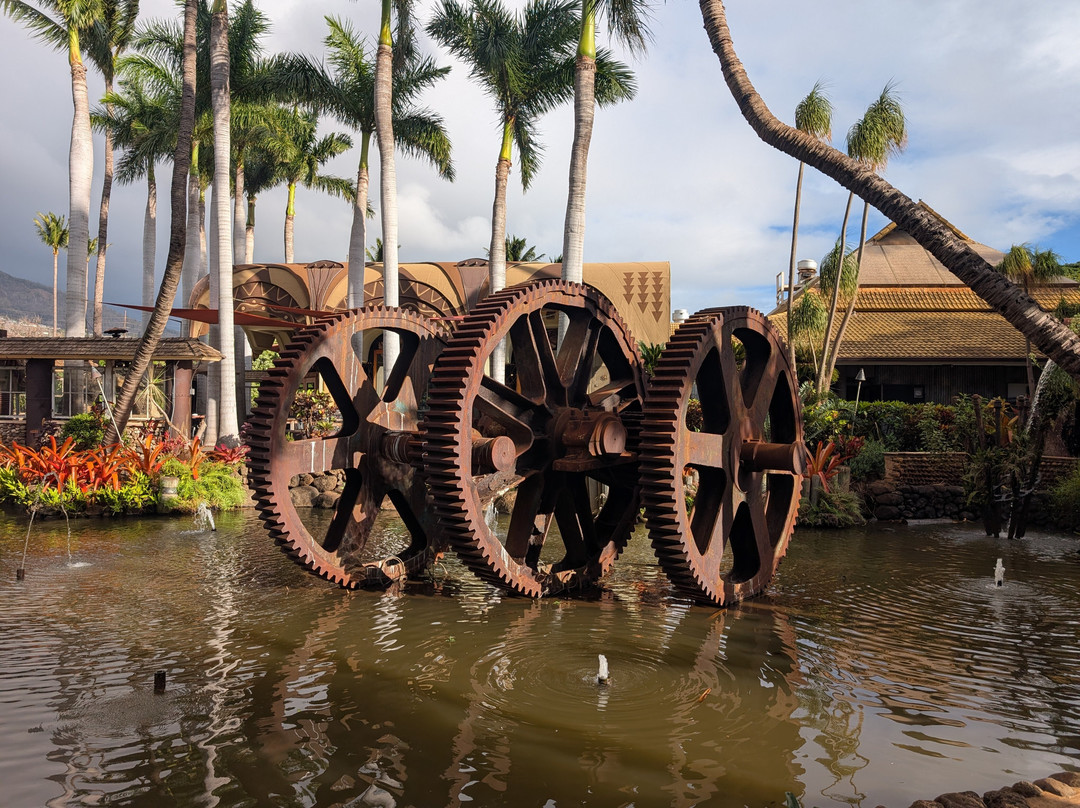 茂宜热带平原-怀露库必去景点