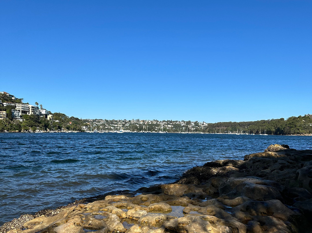 Clive Park-Northbridge必去景点