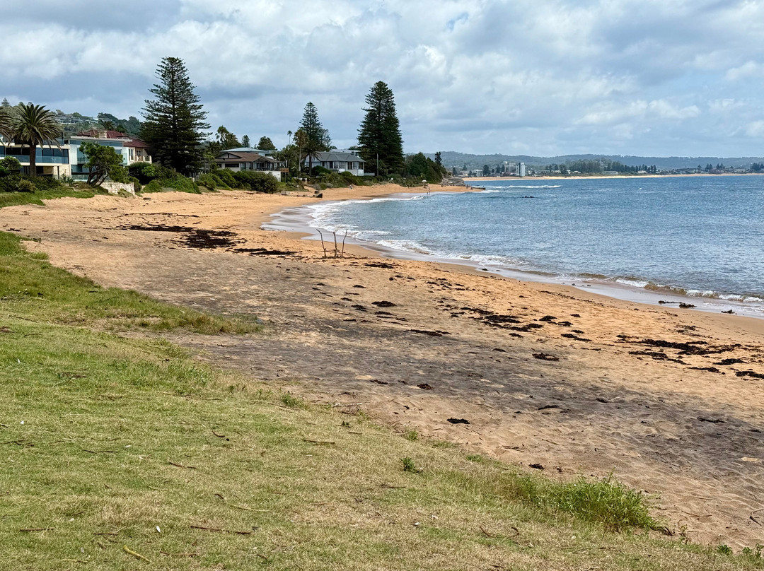 Fishermans Beach-Collaroy Beach必去景点