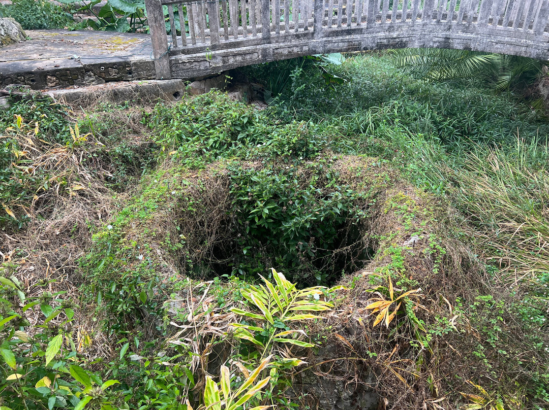 Wonder House-Bartow必去景点