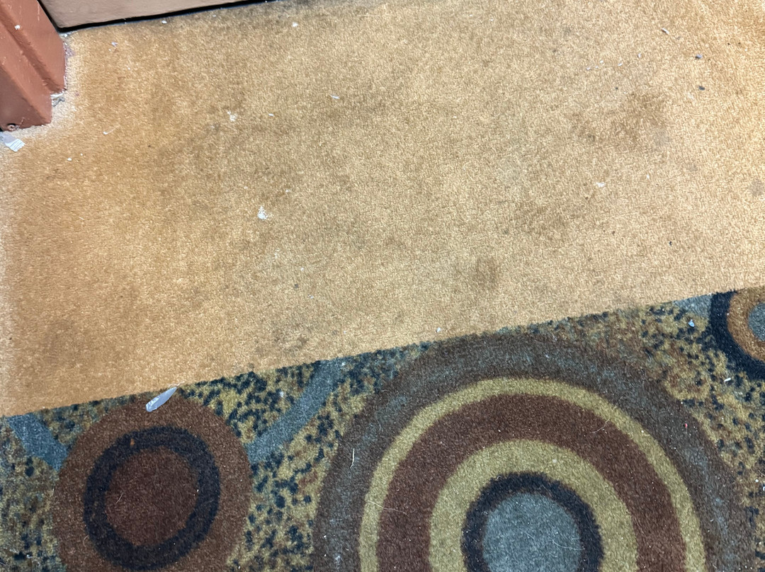 Super 8 by Wyndham O'Fallon主图