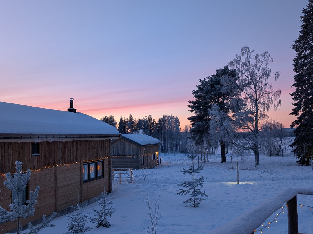 Blueberry Lodge Tours and Activities-Overkalix必去景点