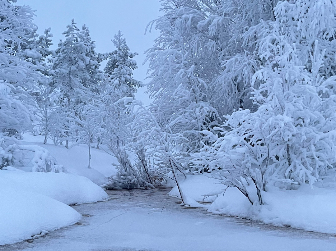 Aavasaksa Adventures-Ylitornio必去景点