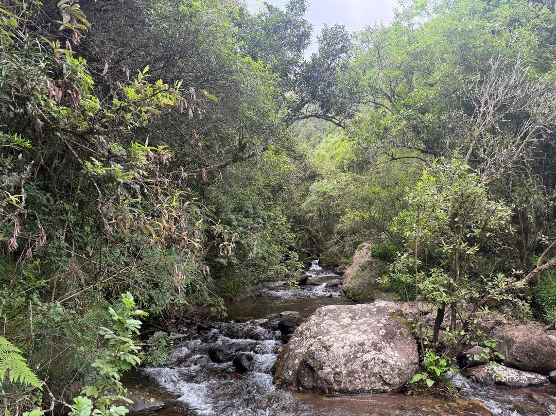 Kukummi Lodge (formerly Mackaya Bella Country Lodge)主图