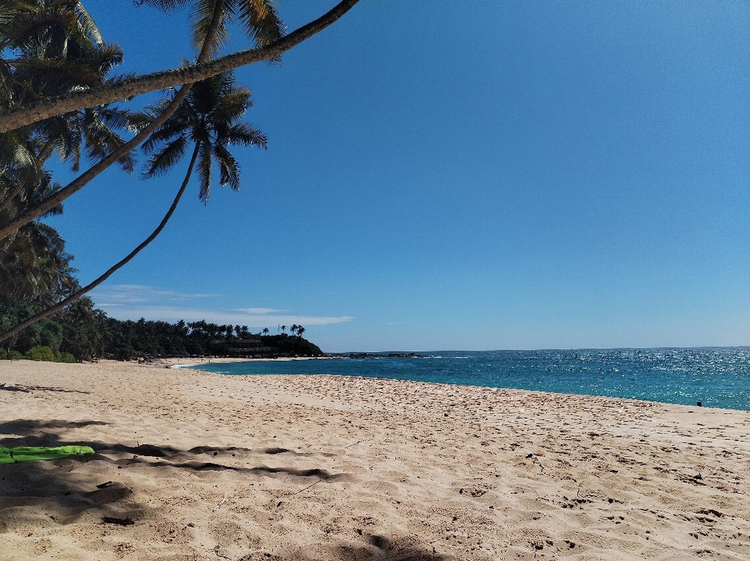 Sri Lankan Personal Drivers-科伦坡必去景点