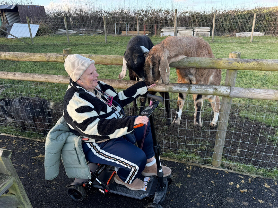 Chew Valley Animal Park-Chew Magna必去景点