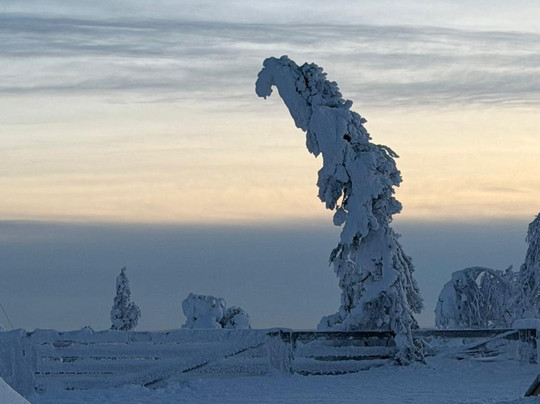 Salla Ski & Active-Salla必去景点