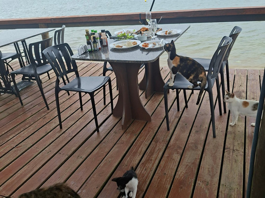 Pousada Pôr do Sol主图