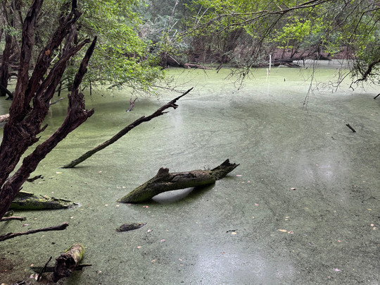 Calakmul Adventures day tours-Xpujil Town必去景点