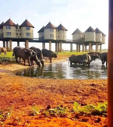 Taita Hills Wildlife Sanctuary-西察沃国家公园必去景点