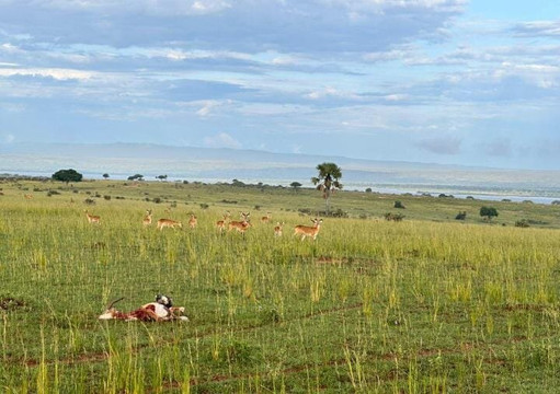 Dallago Tours Kenya Tanzania Limited-内罗毕必去景点