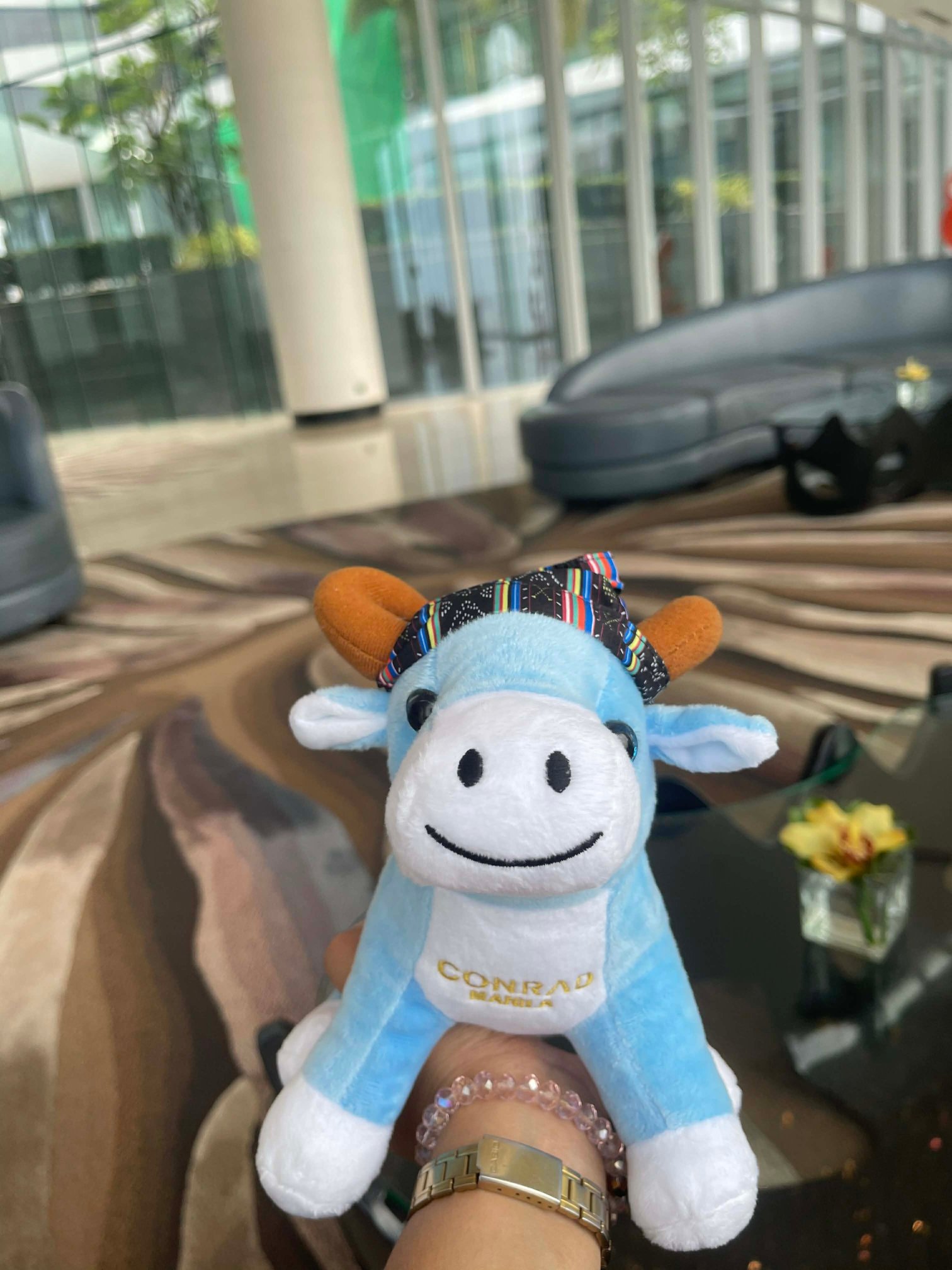 马尼拉康莱德酒店-客卧