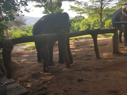 查汶海滩-查汶海滩必去景点