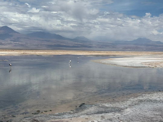 Agencia De Turismo Alabalti Atacama-圣佩德罗-德阿塔卡马必去景点