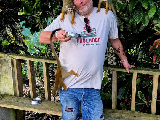 Monkeyland-Higuey必去景点