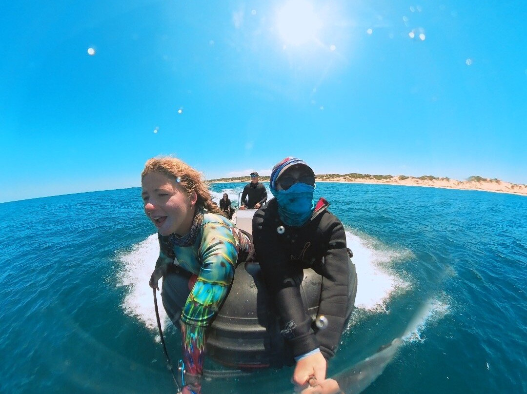 SAFARI, DRIVE & DIVE TOURS-Inhambane必去景点