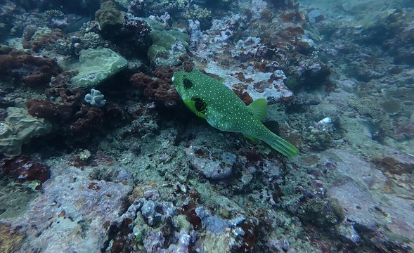 Hydro Sports-辛加东卡必去景点