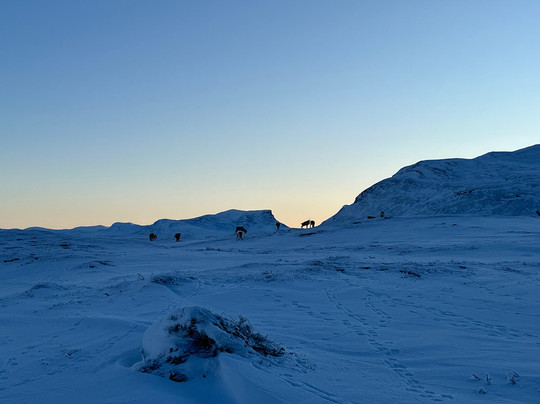 Outback Abisko-阿比斯库必去景点