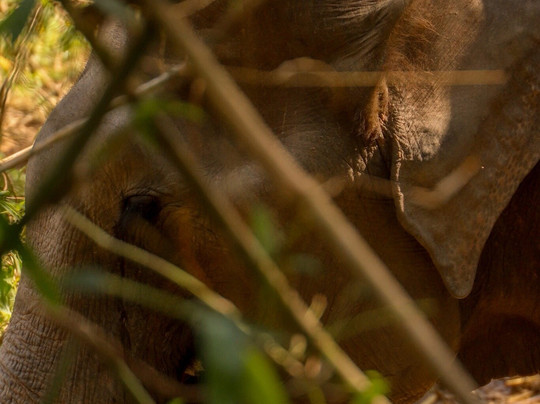 Chang Chill-Mae Win必去景点