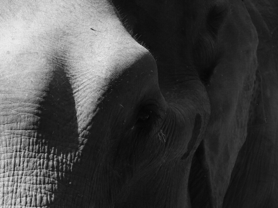 Chang Chill-Mae Win必去景点