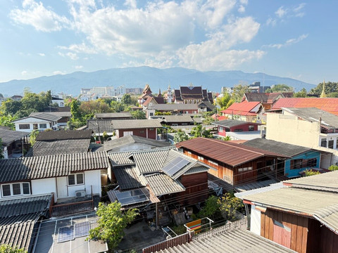 绿虎酒店主图