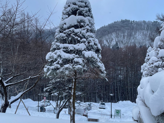 藏王索道-山形市必去景点