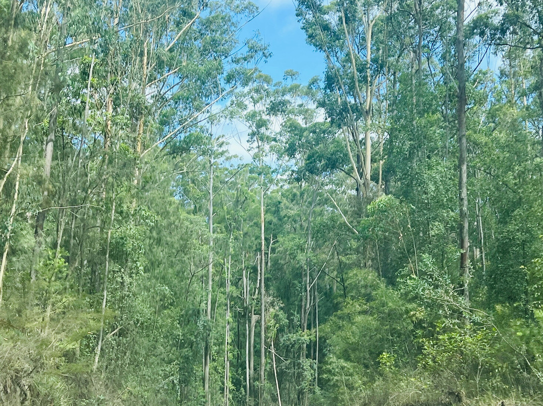 Bago Maze & Wine-Wauchope必去景点