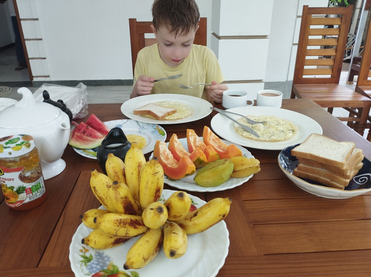 Surf 'n Lanka-瓦勒迦玛必去景点