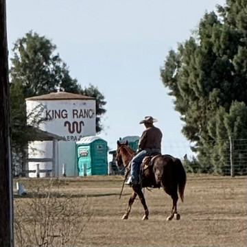King Ranch Visitor Center-Kingsville必去景点