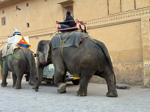 India 4 Wheel Drive-新德里必去景点