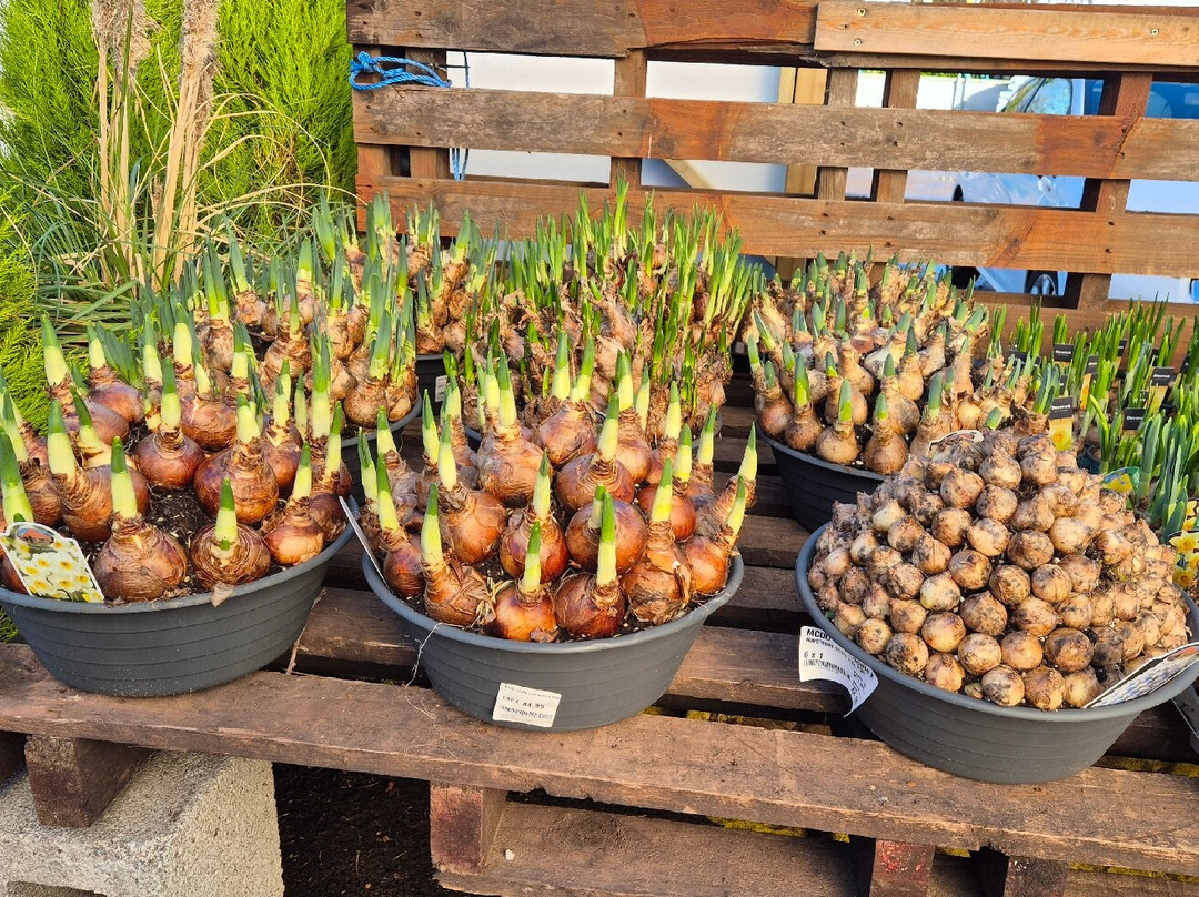 Abergavenny Garden Centre-Llanfoist必去景点
