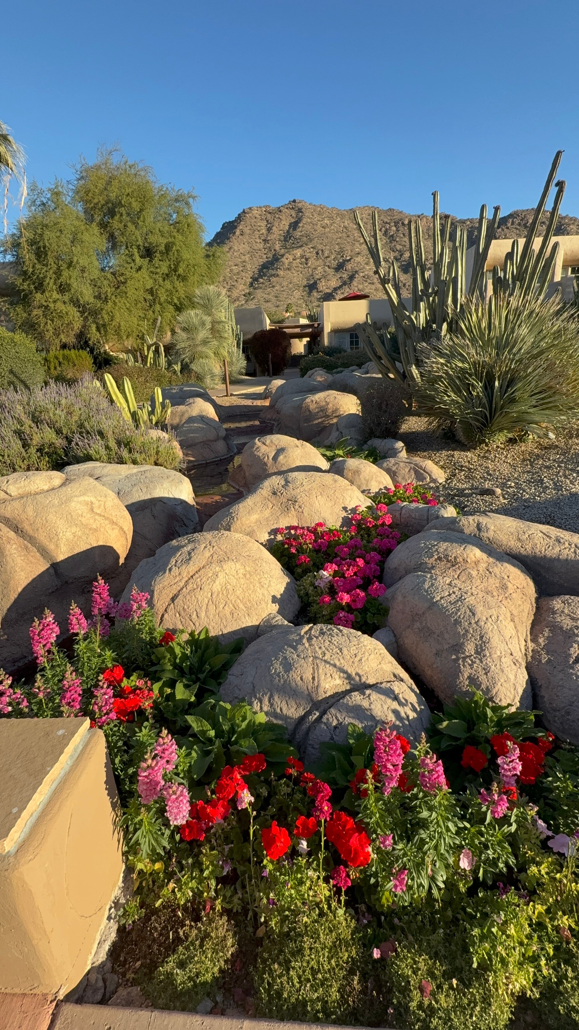 JW Marriott Scottsdale Camelback Inn Resort & Spa-官方
