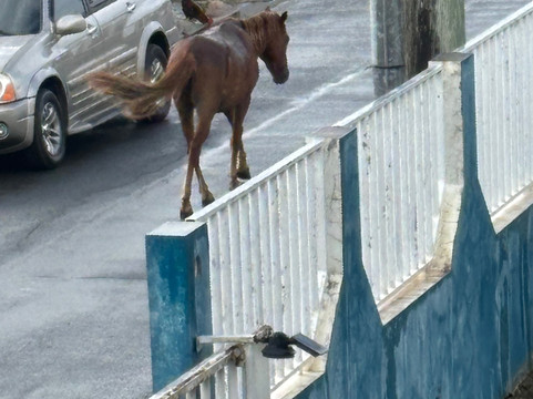 Coco Loco Guesthouse主图