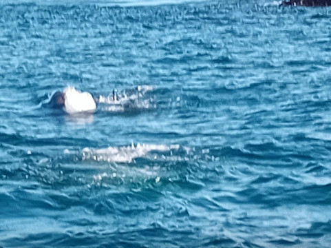 True North Boating-Culdaff必去景点