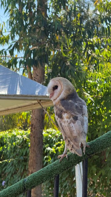 Dreams Park Show-伊瓜苏必去景点